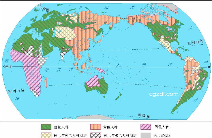 贝纳蒂亚谈,本纳塞尔马,赛转会,世界杯赛事,2026世界杯,足球赛程,参赛球队,赛事分析